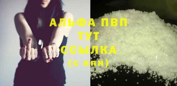 стаф Баксан