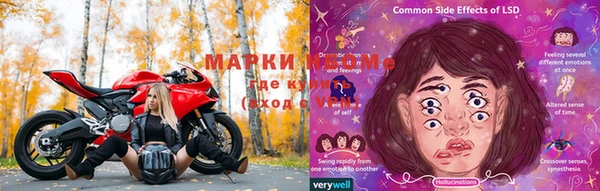 ГАЛЛЮЦИНОГЕННЫЕ ГРИБЫ Балабаново