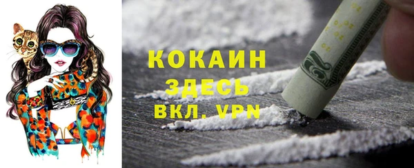 ГАЛЛЮЦИНОГЕННЫЕ ГРИБЫ Балабаново