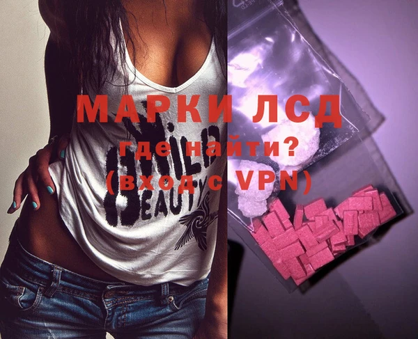 стаф Баксан