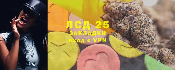 стаф Баксан